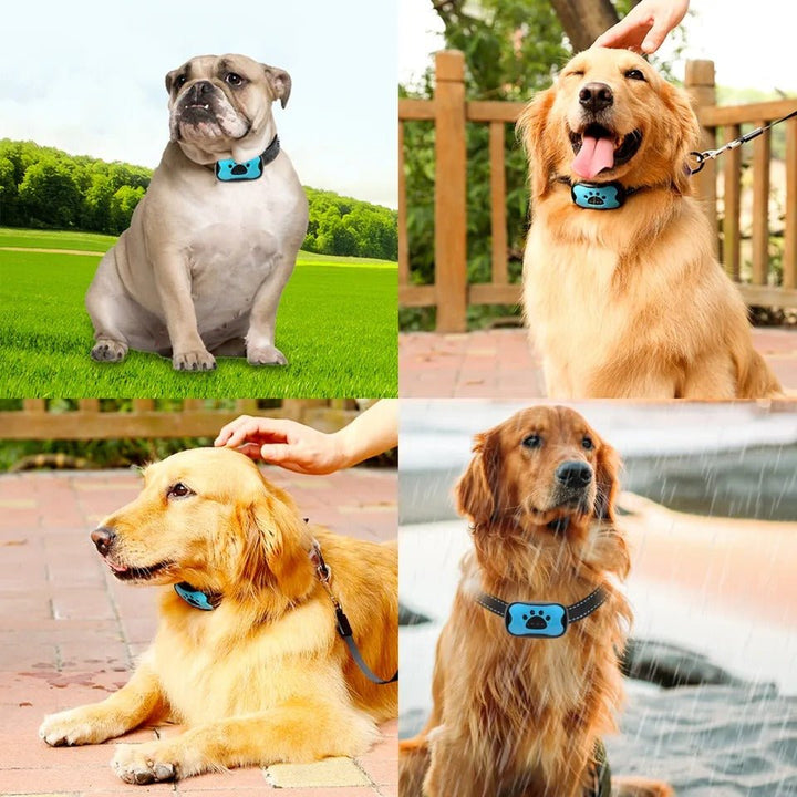 Intelligent anti-bark hundhalsband med ljudvågsteknologi och justerbar passform