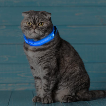 Ljusande Hundhalsband - Blinkande Hundhalsband