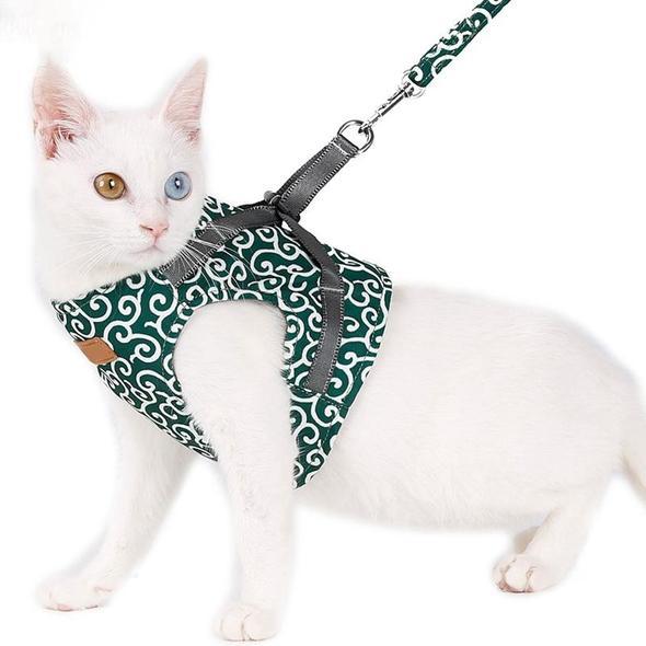 Kattvästsele och koppelset för utomhuspromenader