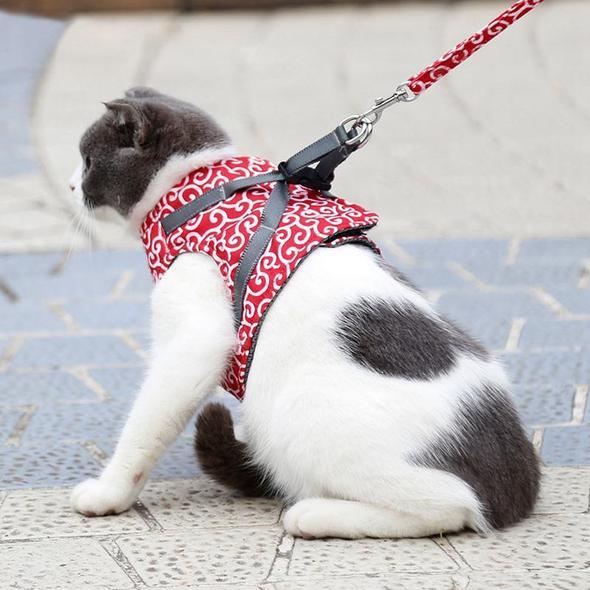 Kattvästsele och koppelset för utomhuspromenader
