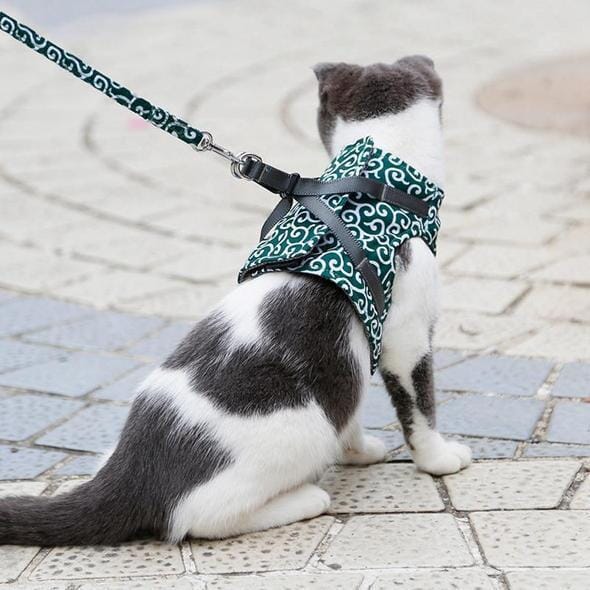 Katt västsele och koppelset för promenader