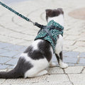Katt västsele och koppelset för promenader