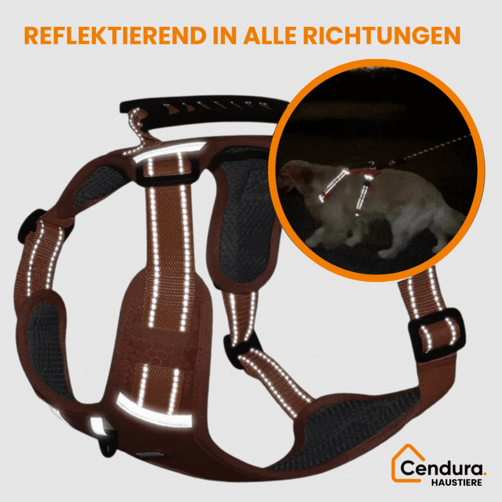 HappyHund Säkerhetssele Reflekterande |