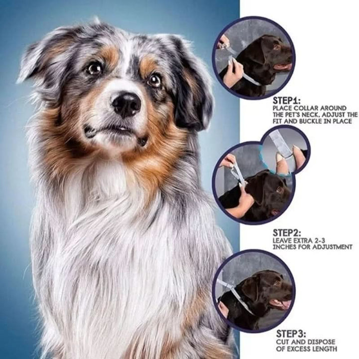 PAWTECT - Anti-fästing och loppa halsband