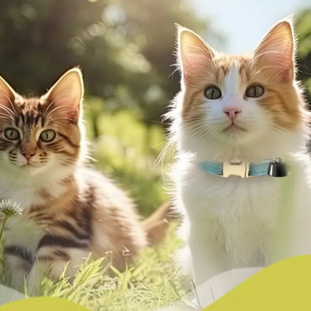 Pet Tracker Mini – Smart Bluetooth Djur Locator med Halsband och Klocka
