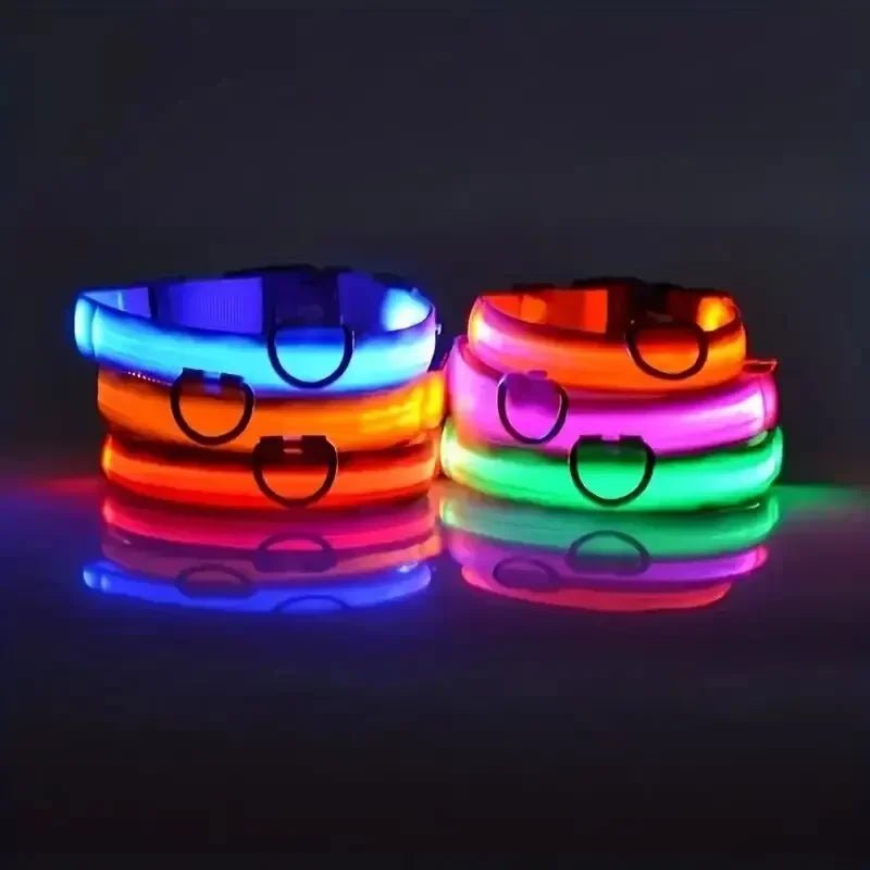 LED Säkerhets Hundhalsband med Justerbar Passform