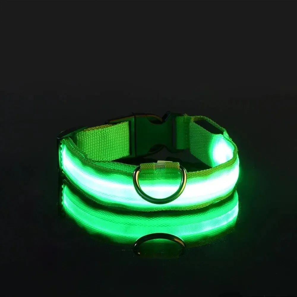 LED Säkerhets Hundhalsband med Justerbar Passform