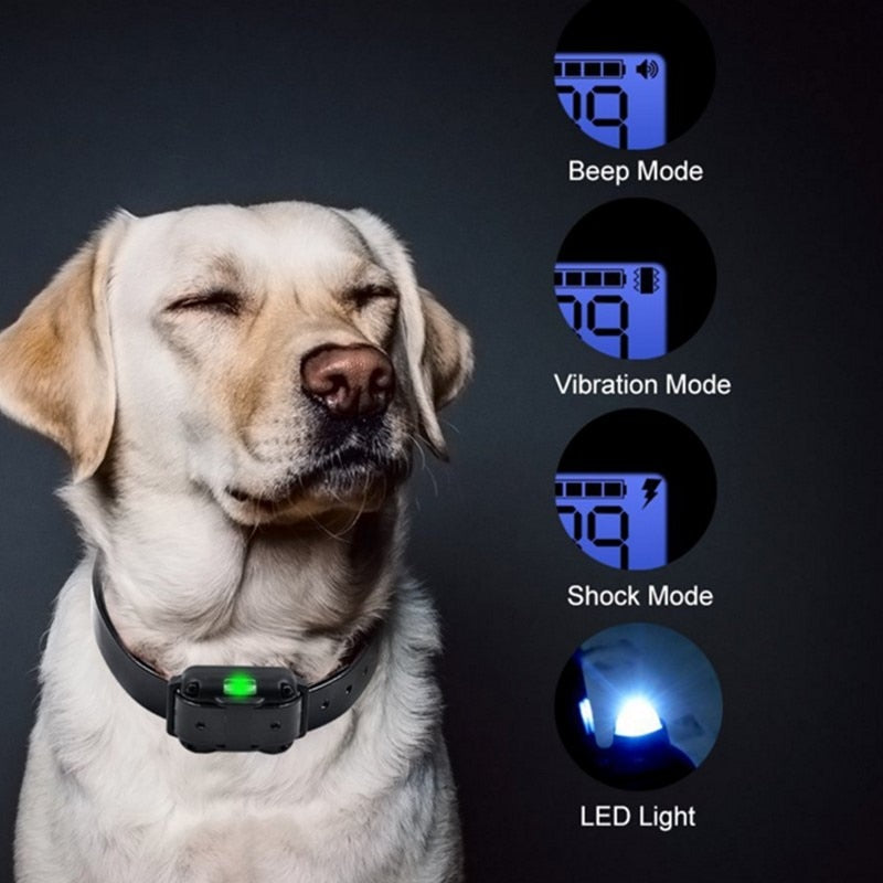 Långdistans Elektronisk Hundtränings Vattentät Halsband