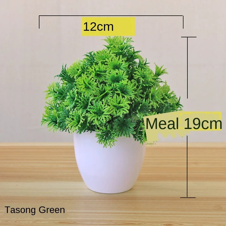 Liten Träkruka Bonsai Växter