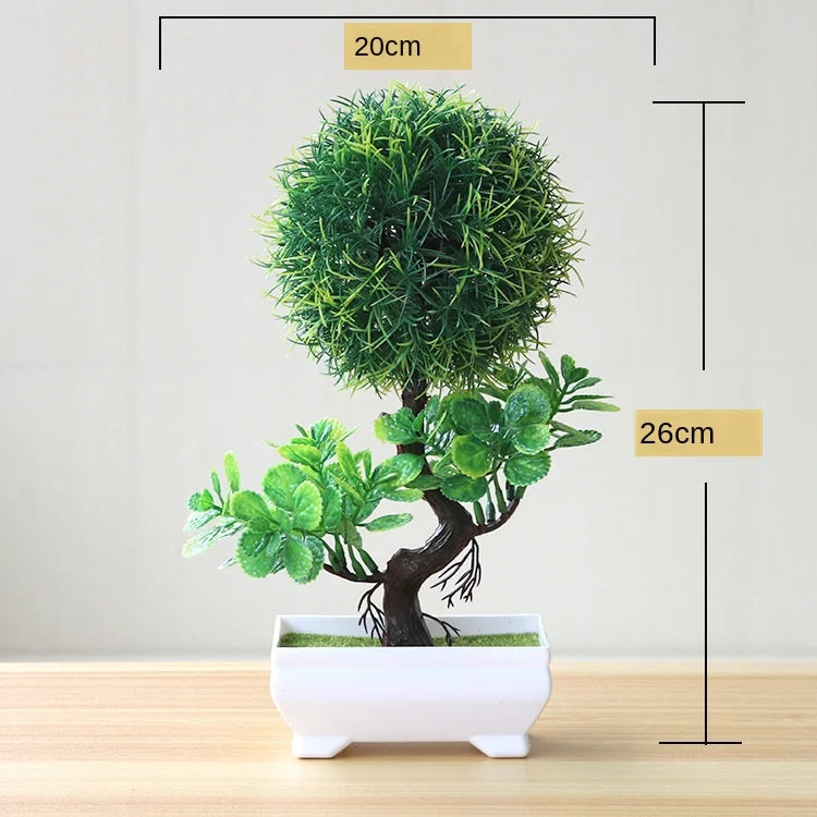 Liten Träkruka Bonsai Växter