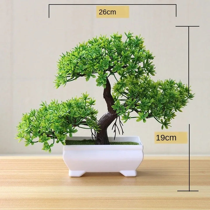 Liten Träkruka Bonsai Växter