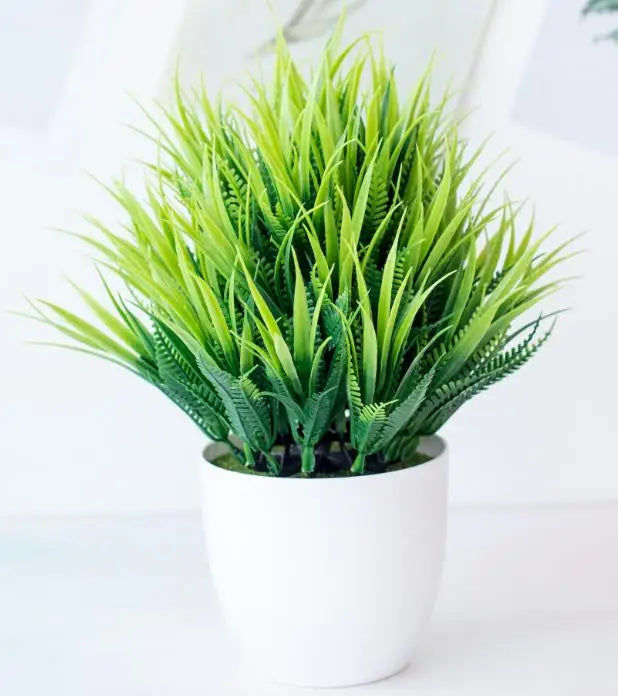 Liten Träkruka Bonsai Växter