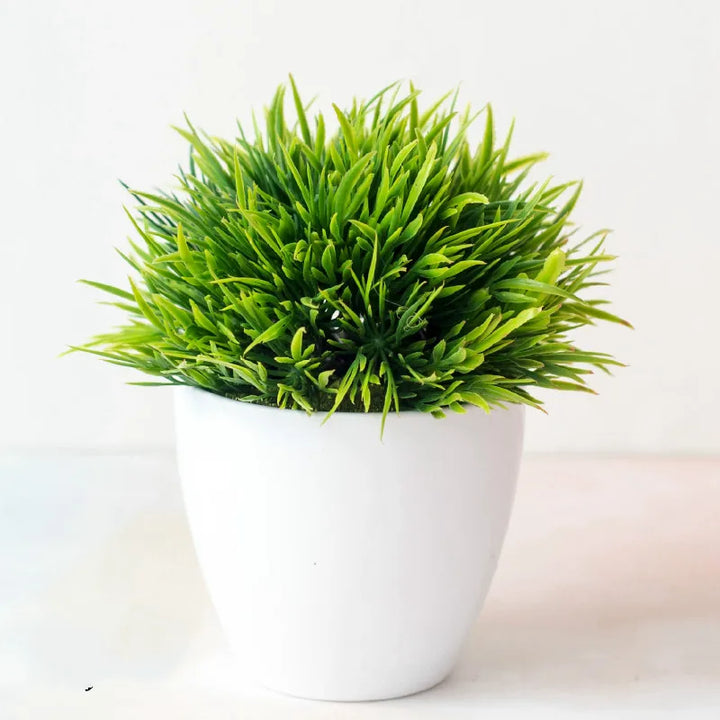 Liten Träkruka Bonsai Växter
