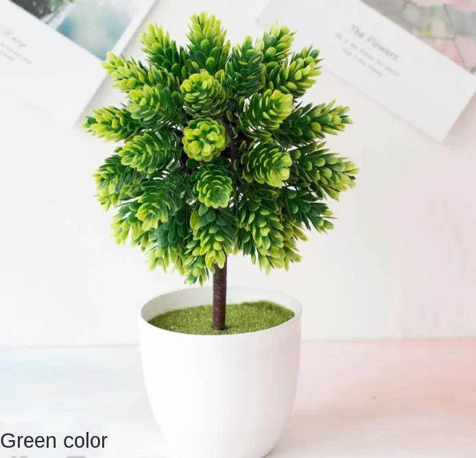 Liten Träkruka Bonsai Växter