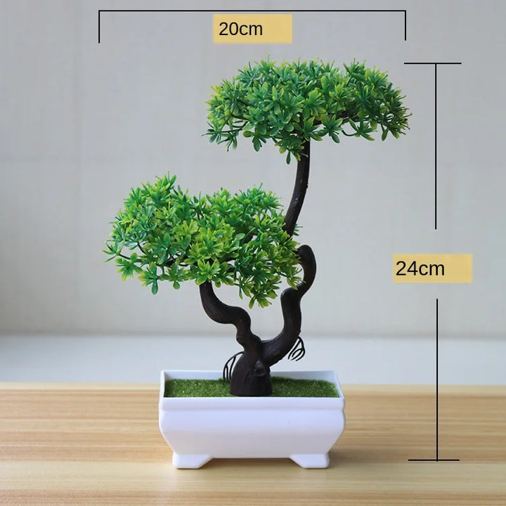 Liten Träkruka Bonsai Växter