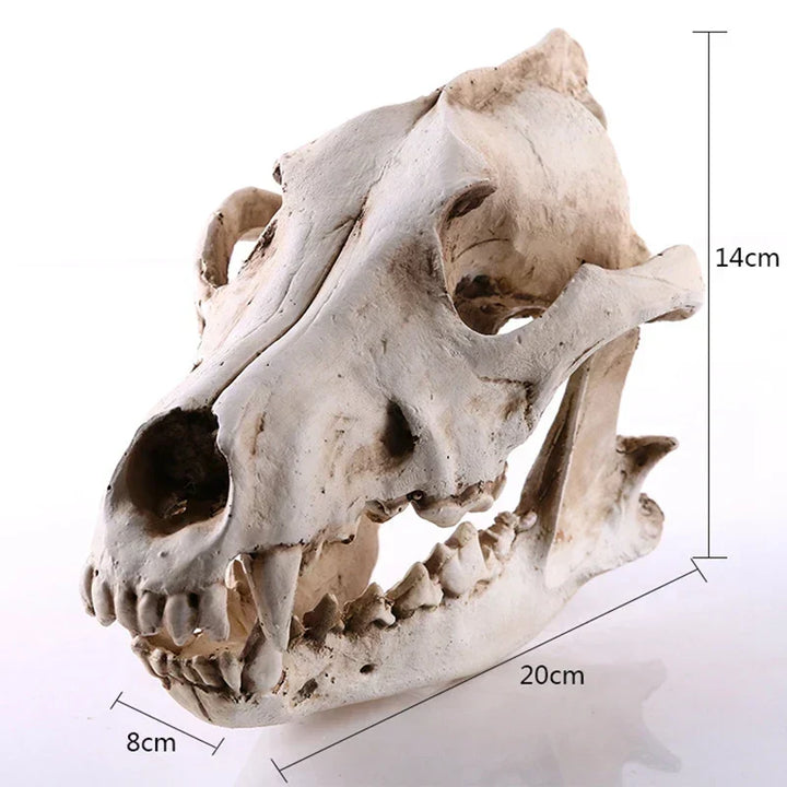 Vargskalle Skulptur Modell