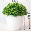 Liten Träkruka Bonsai Växter