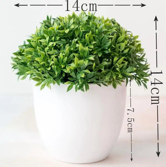 Liten Träkruka Bonsai Växter