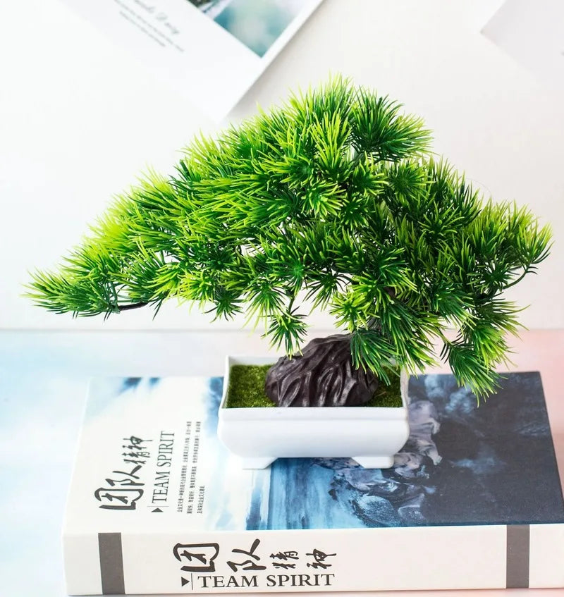 Liten Träkruka Bonsai Växter