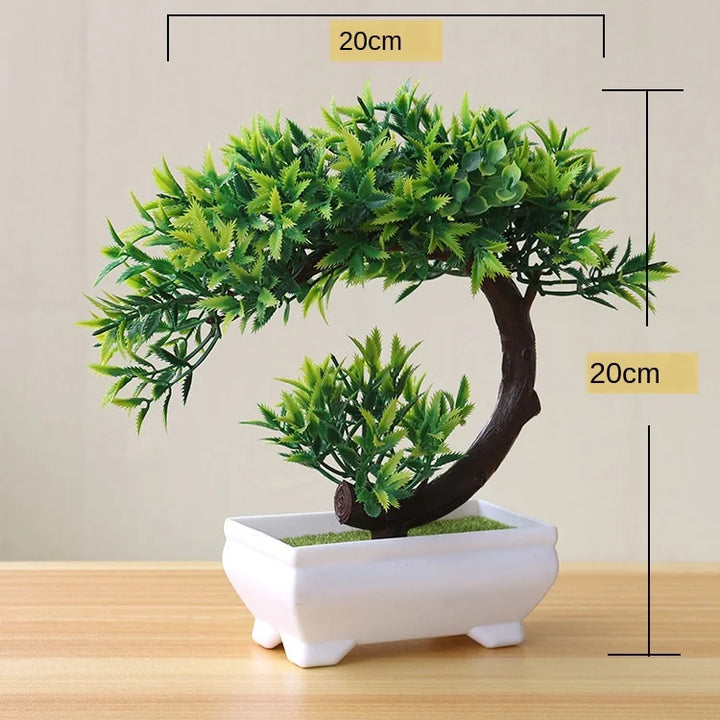 Liten Träkruka Bonsai Växter