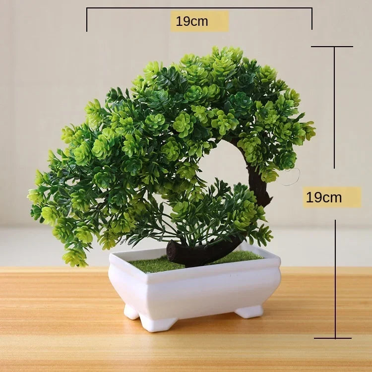 Liten Träkruka Bonsai Växter