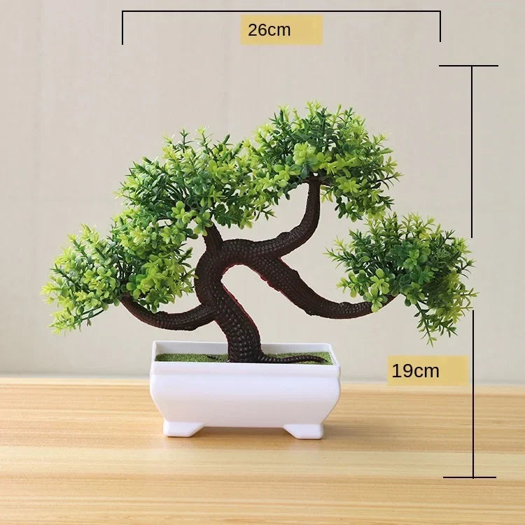 Liten Träkruka Bonsai Växter