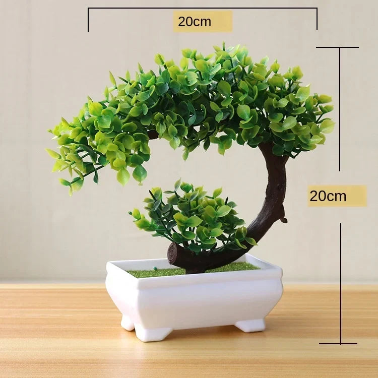 Liten Träkruka Bonsai Växter
