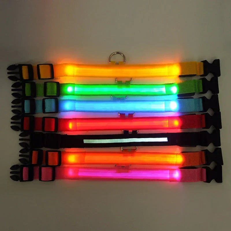 GlowPets LED-halsband – Säkerhet och synlighet för husdjur
