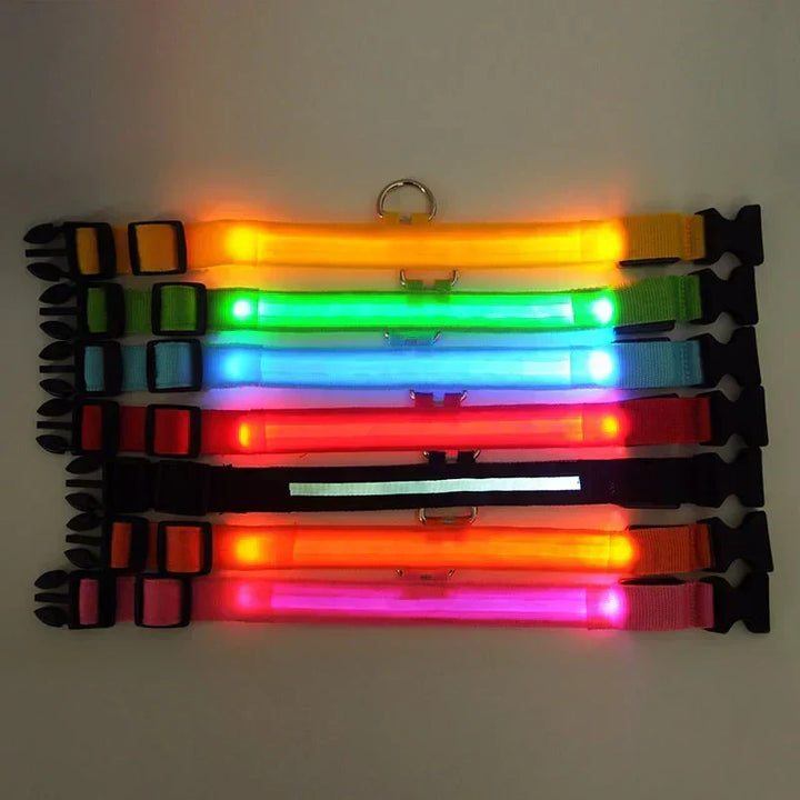 GlowPets LED-halsband – Säkerhet och synlighet för husdjur