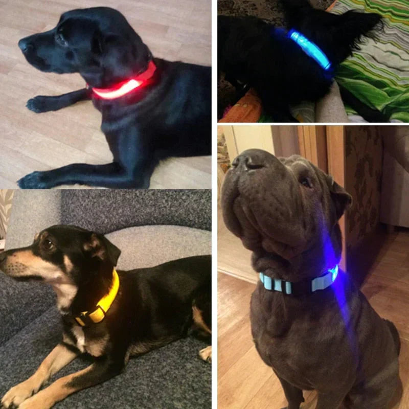 GlowPets LED-halsband – Säkerhet och synlighet för husdjur