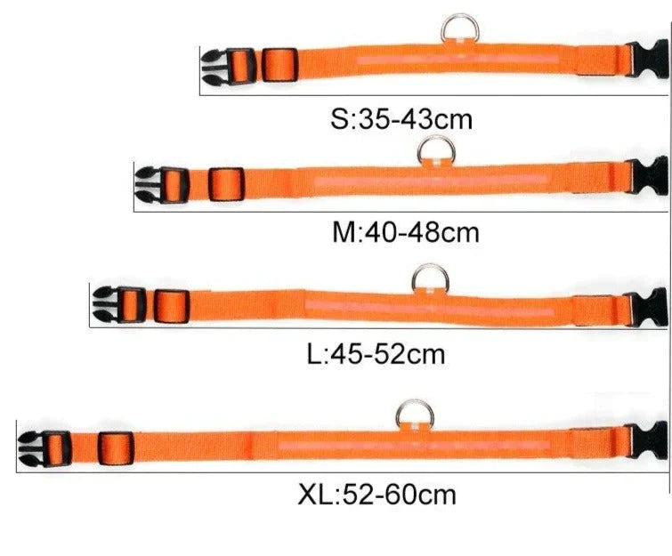 GlowPets LED-halsband – Säkerhet och synlighet för husdjur