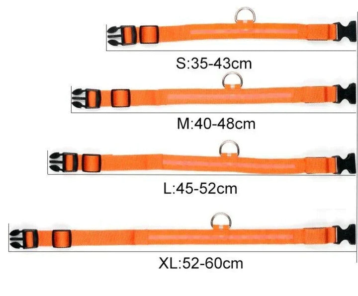 GlowPets LED-halsband – Säkerhet och synlighet för husdjur