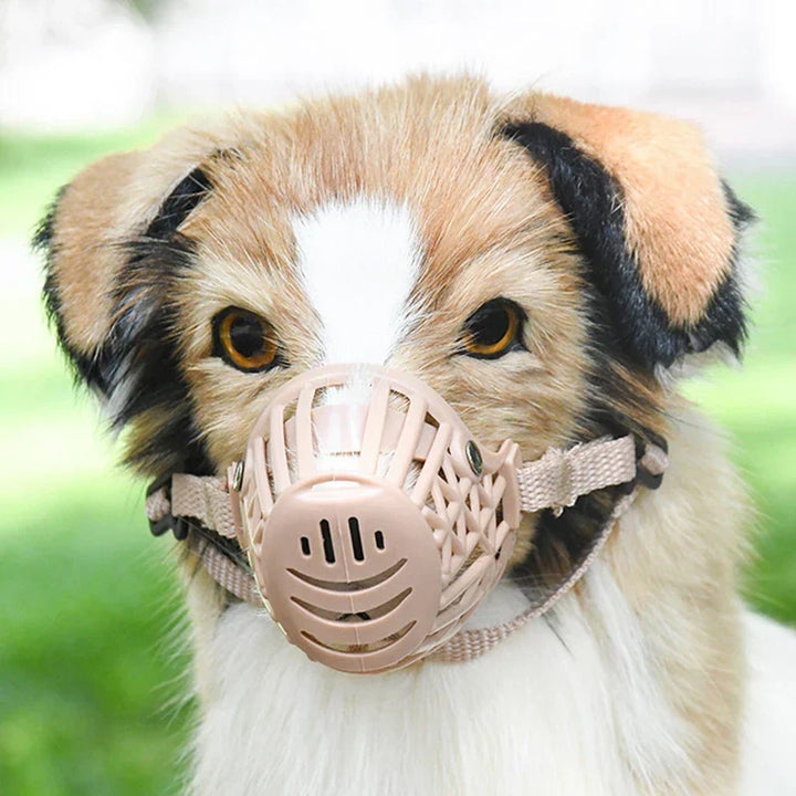 Andningsbar hundmask med bekväm passform