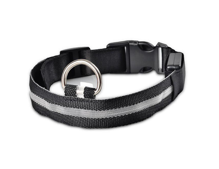 GlowPets LED-halsband – Säkerhet och synlighet för husdjur