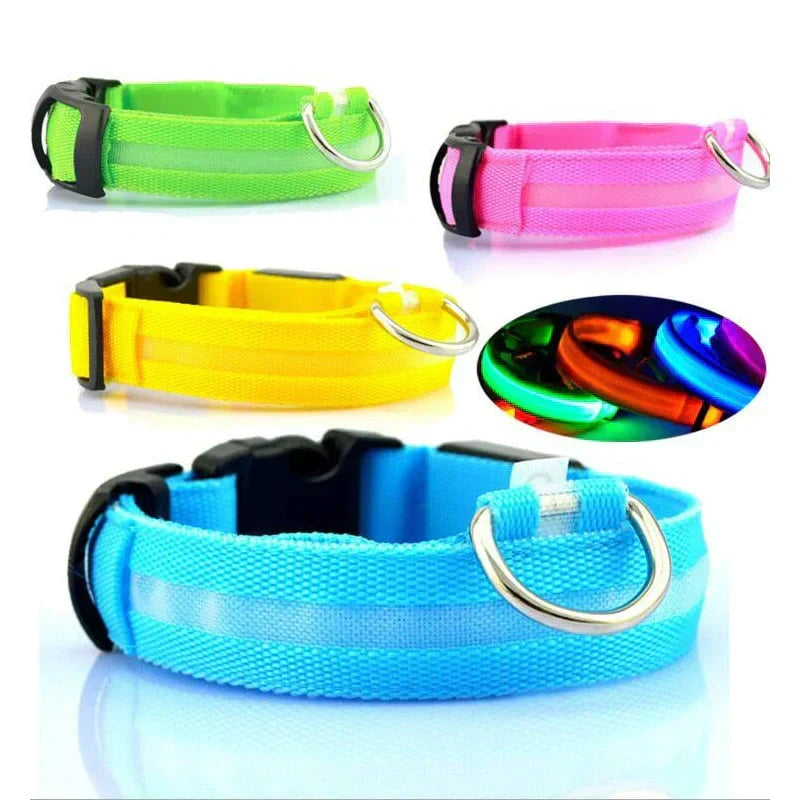 GlowPets LED-halsband – Säkerhet och synlighet för husdjur