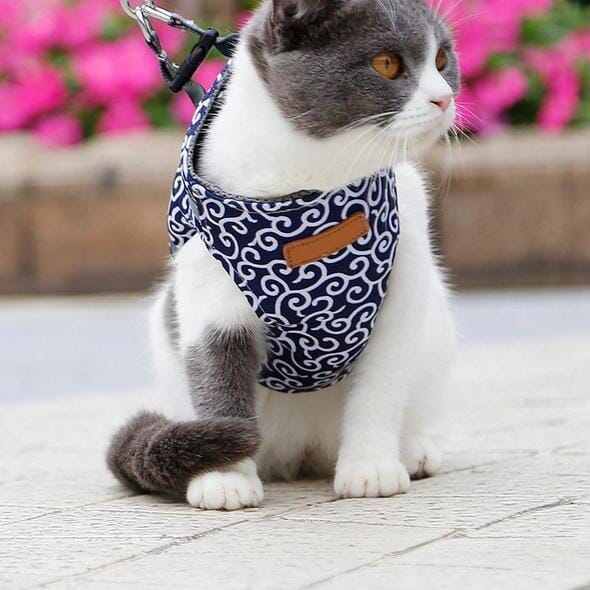 Katt västsele och koppelset för promenader