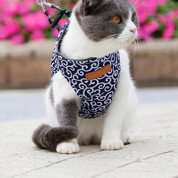 Kattvästsele och koppelset för utomhuspromenader