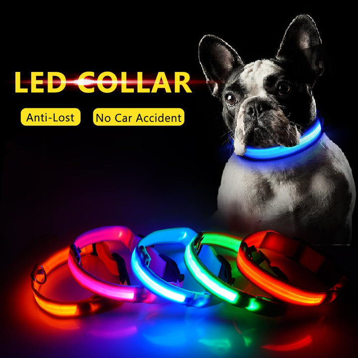 Ljusande Hundhalsband - Blinkande Hundhalsband
