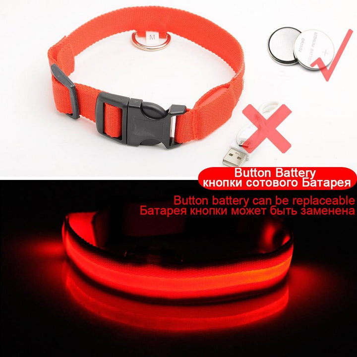Ljusande Hundhalsband - Blinkande Hundhalsband