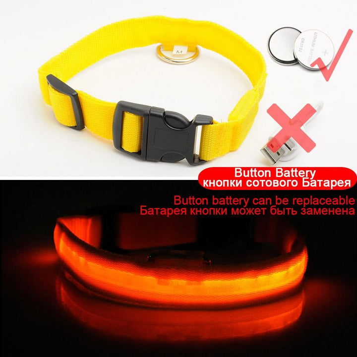 Ljusande Hundhalsband - Blinkande Hundhalsband