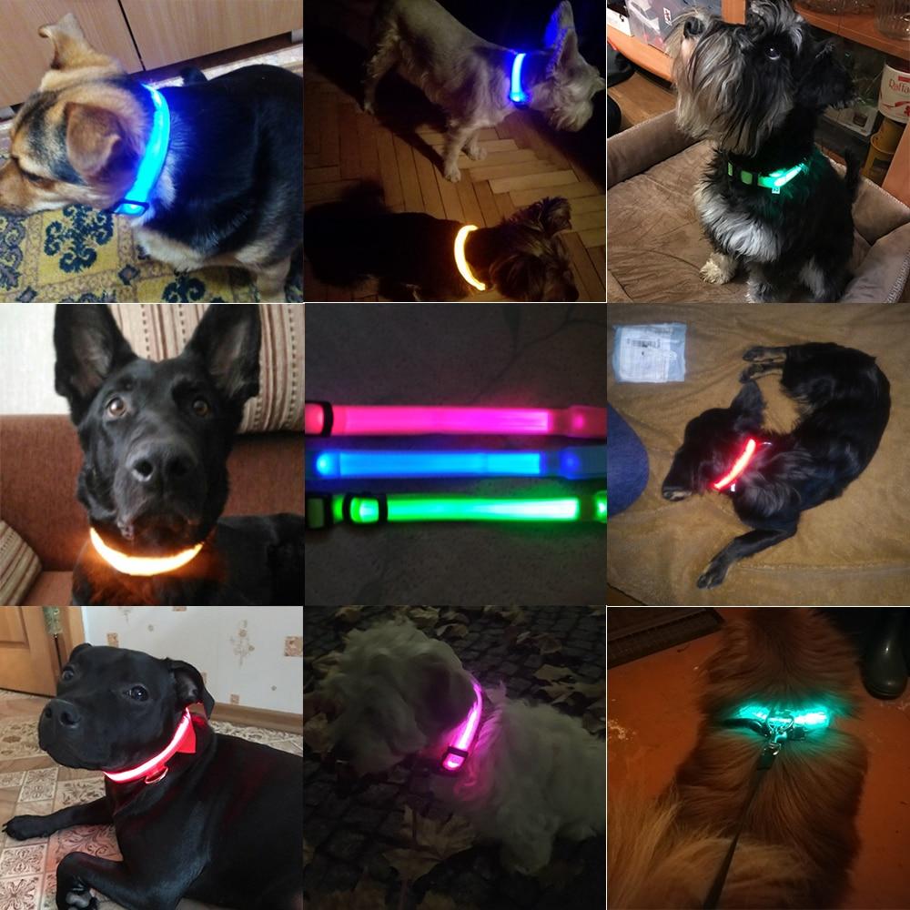 Ljusande Hundhalsband - Blinkande Hundhalsband