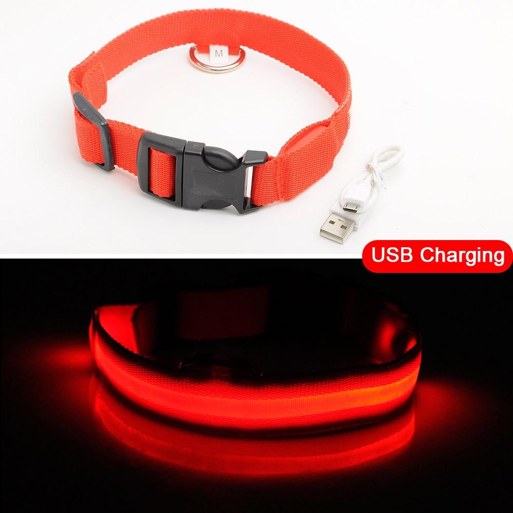 Ljusande Hundhalsband - Blinkande Hundhalsband