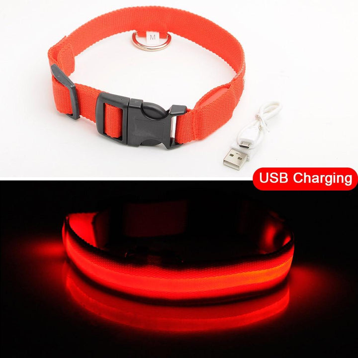 Ljusande Hundhalsband - Blinkande Hundhalsband