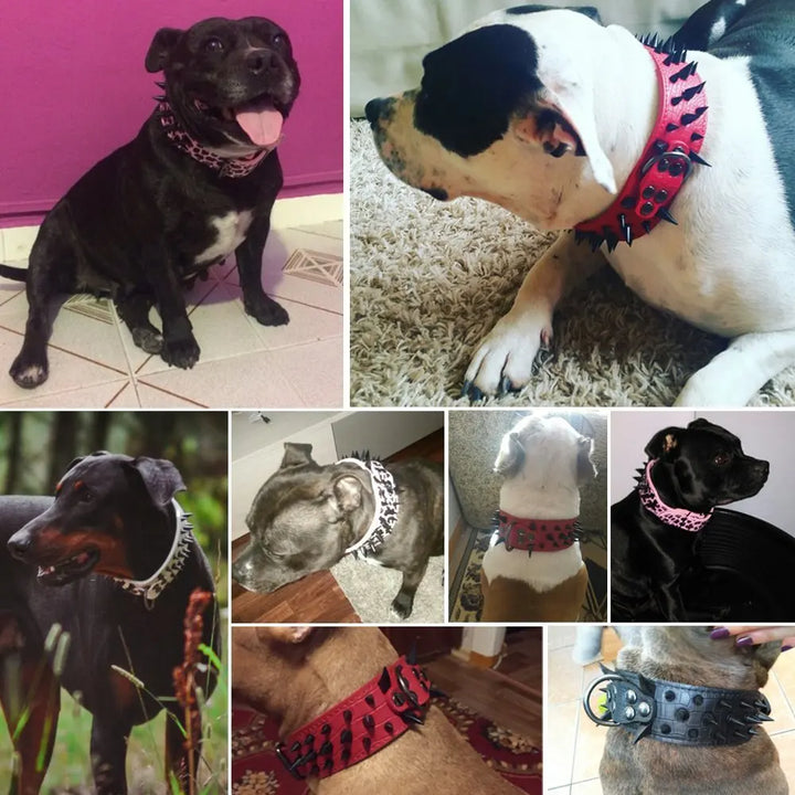 Hundhalsband med nitar för stora hundar