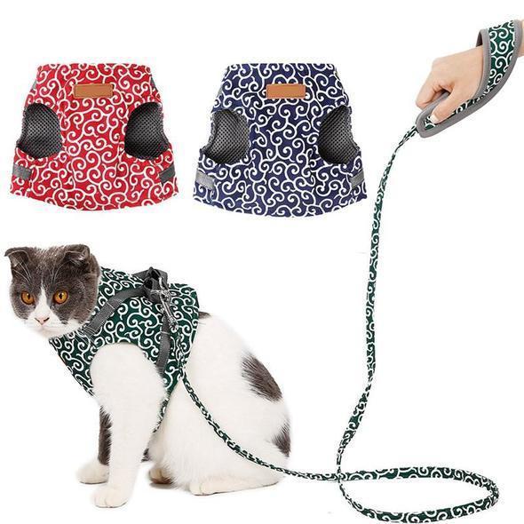 Halsband jacka och koppel för katt |