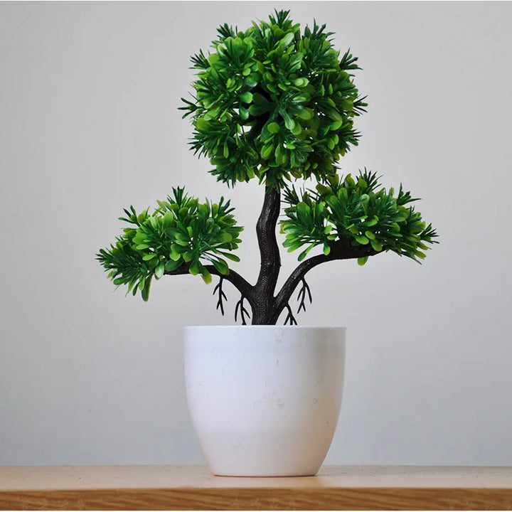 Liten Träkruka Bonsai Växter