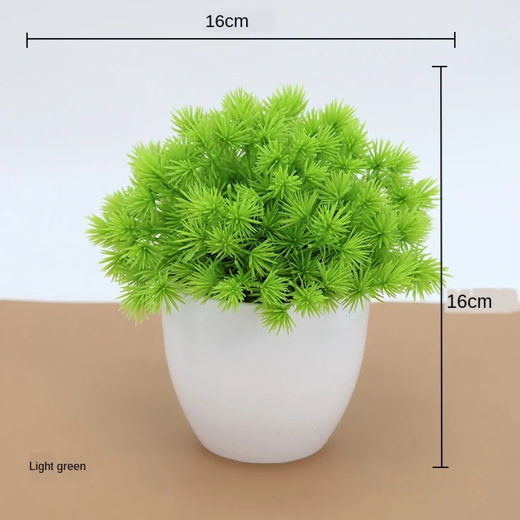 Liten Träkruka Bonsai Växter
