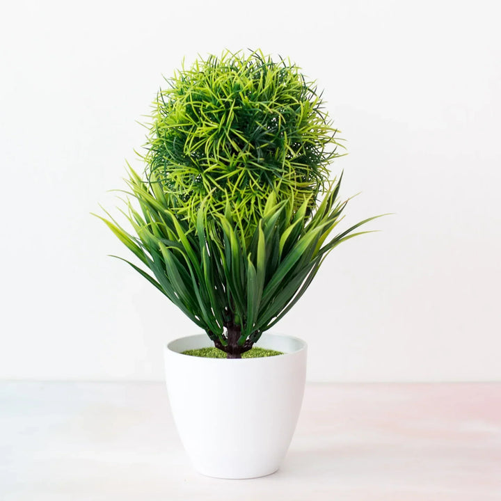 Liten Träkruka Bonsai Växter