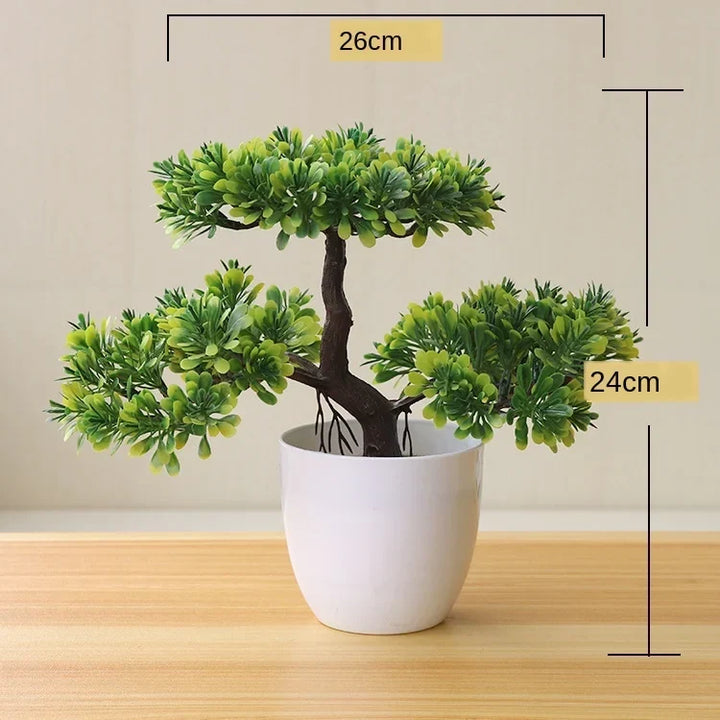 Liten Träkruka Bonsai Växter
