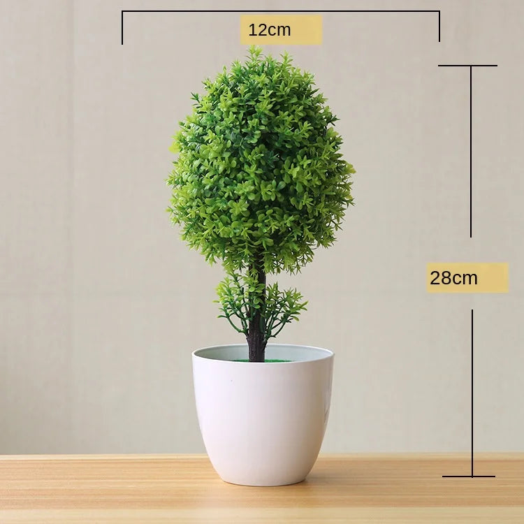 Liten Träkruka Bonsai Växter